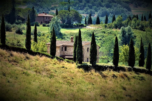 immobiliare