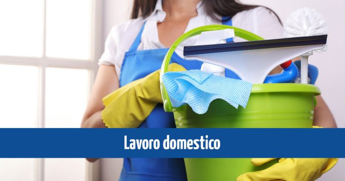 domestico