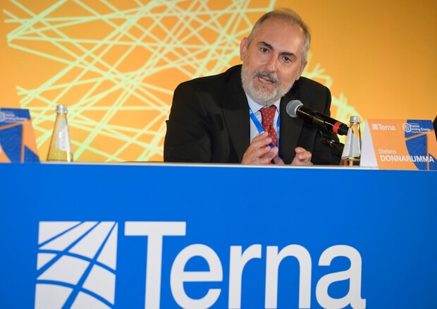 Terna