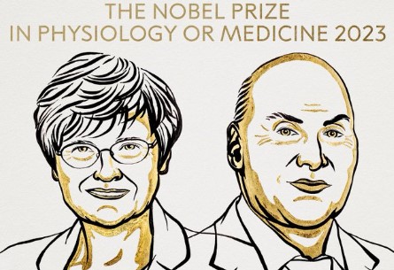 Nobel