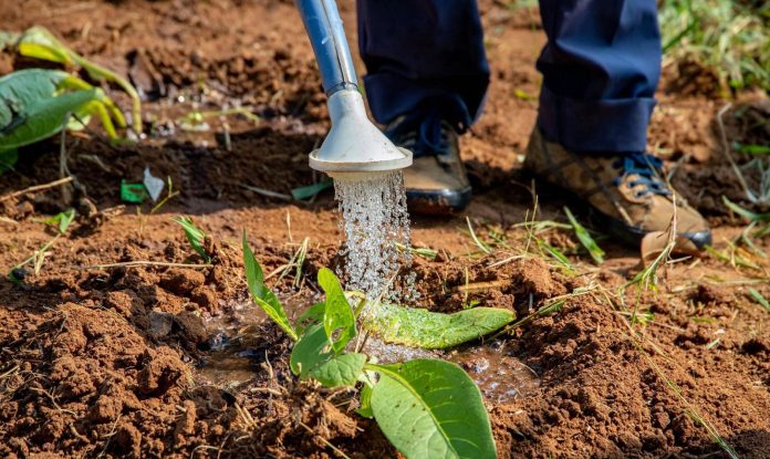 Agrivoltaico